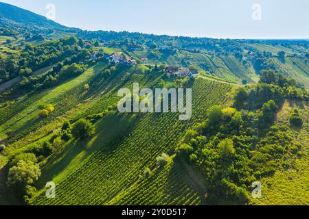 Blick auf die Weinberge auf den Hügeln in Plesivica in Kroatien Stockfoto