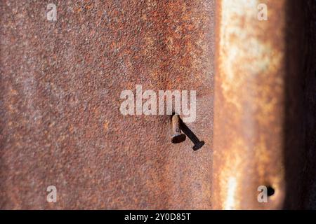 Das Bild zeigt eine verwitterte Metallwand, die durch tiefen Rost und abblätternde Farbschichten gekennzeichnet ist. Sonnenlicht hebt die Textur hervor, Showcas Stockfoto