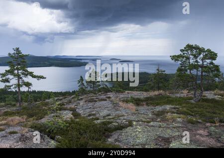 Regenschauer über dem Bottnischen Golf, Skuleskogen-Nationalpark, Hoega Kusten-Weltkulturerbe, Vaesternorrland, Schweden, Juli 2012, Europa Stockfoto