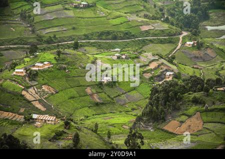 Die Hügel und Täler des Kabale Highland District im Süden Ugandas an der Grenze zu Ruanda sind mit landwirtschaftlichen Nutzflächen für Nutzpflanzen bedeckt Stockfoto