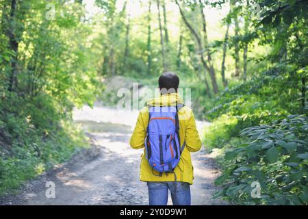 Rückansicht des Mann mit Rucksack wandern im Wald Stockfoto