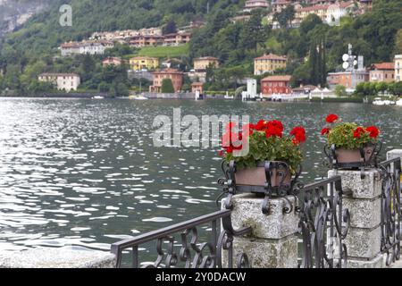 Das Dorf Menaggio am Comer See, Italien, Europa Stockfoto