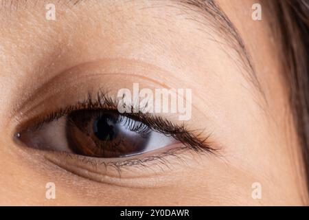 Nahaufnahme des braunen Auges einer Frau, die die Details ihrer Iris, Pupille und Wimpern zeigt Stockfoto