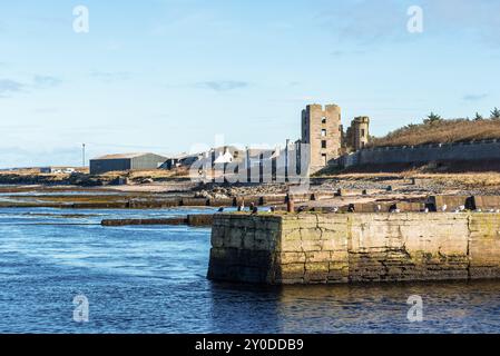 Thurso, Schottland, Vereinigtes Königreich - 16. Oktober 2023: Die Mündung des Thurso ist die Heimat der Robben in Thurso, Caithness, Schottland, Vereinigtes Königreich. Stockfoto