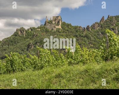 Weinberge auf einem Hügel mit alten Ruinen und markanten Felsen im Hintergrund, bewölkter Himmel, Duernstein, Wachau, Donau, Österreich, Europa Stockfoto