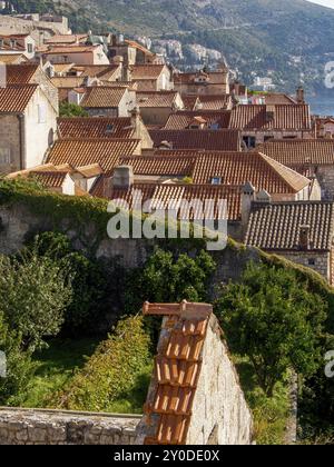 Blick auf die Stadt mit roten Dächern und die umliegende grüne Landschaft vor Bergkulisse, Dubrovnik, Mittelmeer, Kroatien, Europa Stockfoto