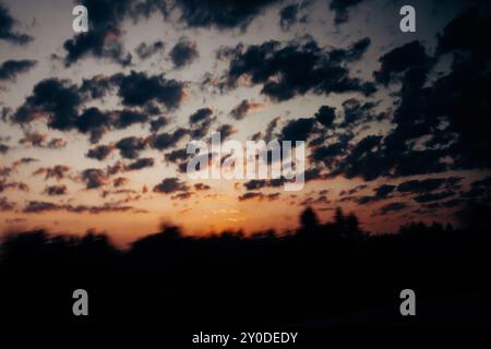 Die Gipfel der Kiefern vor einem orange blauen Sonnenunterganghimmel mit Wolken im Sonnenlicht. Kontrastierender abstrakter natürlicher Hintergrund. Die Sonne geht unter. Stockfoto