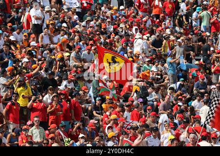 Monza, Italien. September 2024. Zuschauer sehen sich den Grand Prix der Formel 1 auf dem italienischen Monza Circuit am 1. September 2024 an. Quelle: Zhao Dingzhe/Xinhua/Alamy Live News Stockfoto