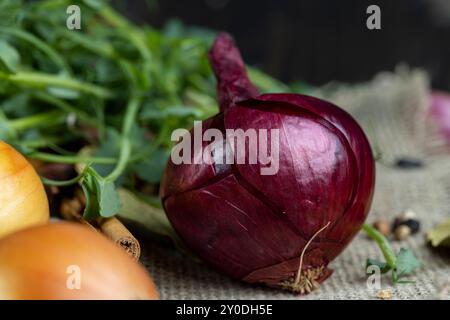 Zwiebelknolle und andere Gewürze auf dem Tisch, während Sie Gerichte der osteuropäischen Küche zubereiten, eine Mischung aus Gewürzen und Zwiebelköpfen auf dem Tisch Stockfoto