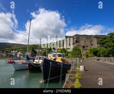 Fischerboote in Carlingford Harbour, County Louth, Irland. Dahinter befinden sich Slieve Foy und King John's Castle aus dem 12. Jahrhundert Stockfoto