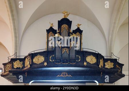Eisenstadt, Burgenland, Österreich. Römisch-katholische Kathedrale St. Martin. Orgel aus dem Jahre 1778 von Johann Gottfried Malleck Stockfoto