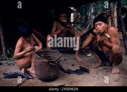 Hasubueteri, Amazon, Venezuela Stockfoto