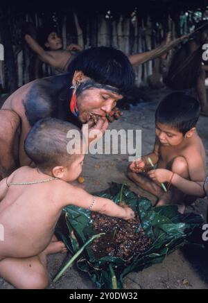 Hasubueteri, Amazon, Venezuela Stockfoto
