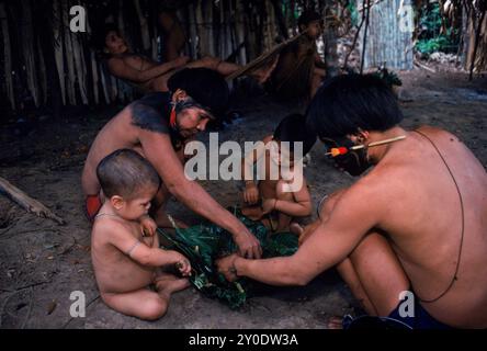 Hasubueteri, Amazon, Venezuela Stockfoto