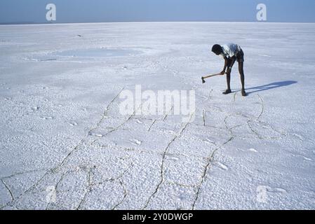 Südlich von Massawa, Eritrea; Buri-Halbinsel; Afar man Bergbau von Salz aus Salzflächen Stockfoto