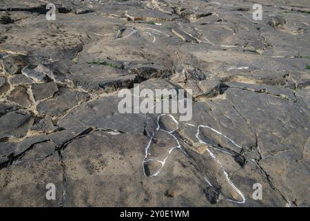 Dinosaurierspuren, die Peladillo-Ära-Ichnites-Deponie, Igea, La Rioja, Spanien, Europa Stockfoto