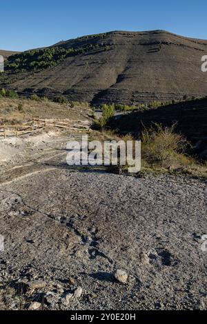 Dinosaurierspuren, Valdecevillo Site, Enciso, La Rioja, Spanien, Europa Stockfoto