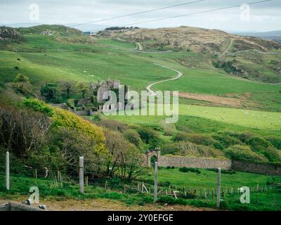 Die Ruinen einer alten Burg liegen auf einem Hügel, umgeben von sanften grünen Feldern und verstreuten Schafen, mit einer gewundenen Straße, die durch die C führt Stockfoto