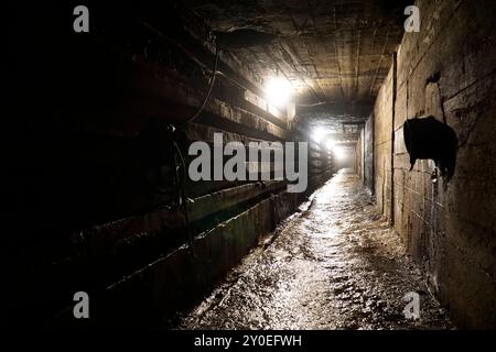 Ludwikowice Klodzkie, Polen - 10. August 2024 - unterirdische Tunnel in der NS-Deutschland-Dynamit-Fabrik Nobel AG Stockfoto