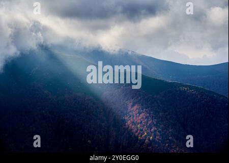 Dramatische Landschaft mit üppig grünen Bergen, die in sanftes Sonnenlicht getaucht sind, im Kontrast zu lebhaftem Herbstlaub unter den Wäldern. Dicke Wolken schweben darüber und werfen Schatten. Stockfoto