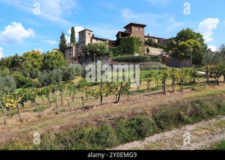 MONTEFIORALLE, ITALIEN - 15. SEPTEMBER 2018: Es ist eine mittelalterliche Siedlung in der Region Chianti Classic, umgeben von Weinbergen und Olivenhainen. Stockfoto