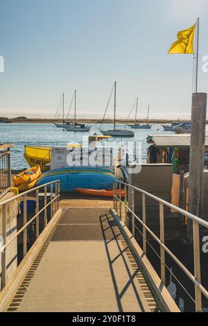 Morro Bay, Kalifornien, USA. Juli 2024. Geschäftiger Yachthafen mit Booten, Kajaks und Abendessen am Wasser bei Sonnenlicht. Stockfoto