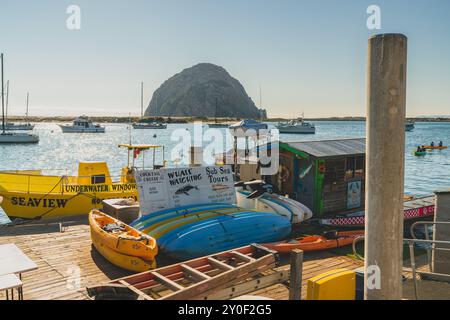 Morro Bay, Kalifornien, USA. Juli 2024. Farbenfrohe Kajaks und Boote an einem Yachthafen, die Walbeobachtungstouren mit Morro Rock im Hintergrund anbieten Stockfoto