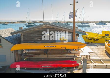 Morro Bay, Kalifornien, USA. Juli 2024. Farbenfrohe Kajaks und Boote an einem Yachthafen, die Walbeobachtungstouren mit Morro Rock im Hintergrund anbieten Stockfoto