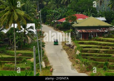 Traditionelles Dreirad auf einer Landstraße in Bohol, Philippinen Stockfoto