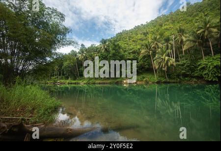 Fluss Loboc. Bohol, Philippinen Stockfoto