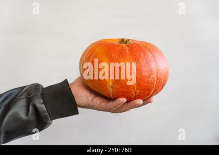 Männliche Hand, die Kürbis mit rohem weißem Hintergrund hält Stockfoto