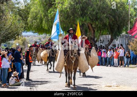 Ein bärtiger Gaucho in traditioneller Kleidung trägt eine argentinische Flagge, die bei einer Parade in Cachi, Argentinien, reitet. Kuhfell-Guardemonten schützen Th Stockfoto