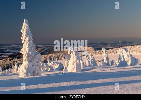 Winterskulpturen - schneebedeckte Bäume ähneln gefrorenen Wesen über dem Tal bei Sonnenuntergang goldene Stunde, Winter Naturphänomen, Schnee und Frost, weißer Schnee Stockfoto