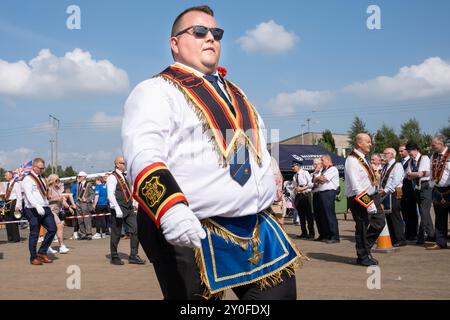 Worshipful Master of Aghalee Star of Peace Royal Black Preceptory in traditioneller Collarette, Manschetten, blauer Schürze. Ballymena, Großbritannien - 31. August 2024. Stockfoto