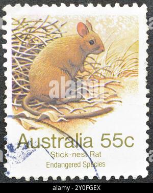 Gestempelte Briefmarke, gedruckt von Australien, auf der eine größere Stocknest-Ratte (Leporillus conditor), um 1981 zu sehen ist. Stockfoto