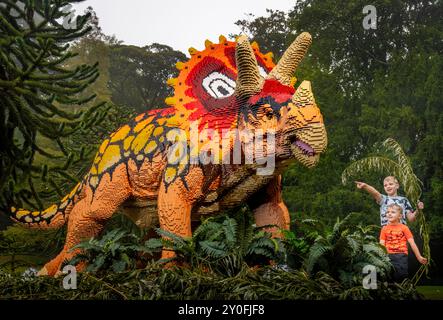 Von links nach rechts stört George und Henry Horner mit einem Triceratops aus 149.542 Ziegeln, dessen Bau 415 Stunden dauerte, die im legendären „Bricks: Dinosaurs“ zu sehen sind! Veranstaltung in der Sewerby Hall in Bridlington, East Yorkshire, mit 18 lebensgroßen Modellen aus Tausenden von kleinen bunten Plastikziegeln, darunter ein Triceratops, ein Stegosaurus und ein Iguanodon. Bilddatum: Montag, 2. September 2024. Stockfoto