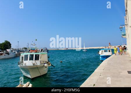 Boote in der adria; Monopoli apulien italien- Adriaküste mit Schwimmen, Booten, Paddelbrettern, der Verteidigung der Mauer, dem Eingang aus bogenförmigem Stein, dem Meer, den Küstenfelsen, Touristen, Freizeitbooten, Sehenswürdigkeiten und Sonnenanbeter Stockfoto