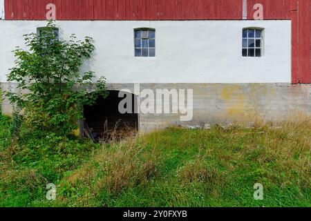 Eine bezaubernde, rustikale Landschaft mit einer lebendigen roten Scheune und einem weiß getünchten Steinfundament, umgeben von üppigem Grün und wildem Gras, die an eine se erinnern Stockfoto