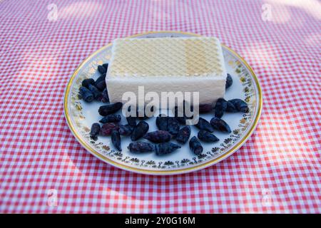 Cremiges Eis mit Waffel auf der Oberseite (russisches Eis) dekoriert mit Honigbeere (Lonicera caerulea var. Kamtschatica) auf Platte Stockfoto