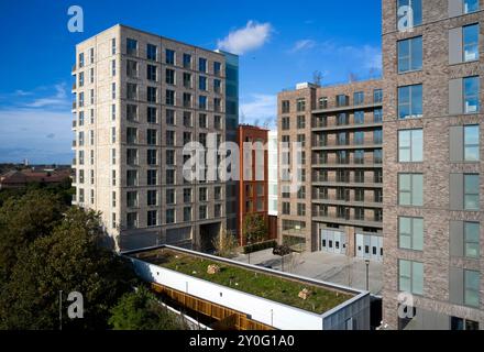 Appartementblöcke unterschiedlicher Höhe. Osier Way, London, Großbritannien. Architekt: Waugh Thistleton Architects, 2024. Stockfoto