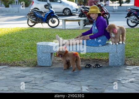 Nha Trang, Vietnam - 22. April 2024: Eine vietnamesische ältere Frau geht mit ihren beiden Pudelhunden in einem Park spazieren. Die Frau sitzt auf einer Bank und beobachtet die Hunde Stockfoto