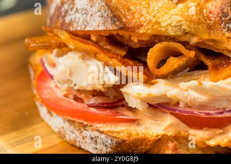 Scharfes hausgemachtes Chipotle Chicken Sandwich Panini mit Speck und Tomaten Stockfoto