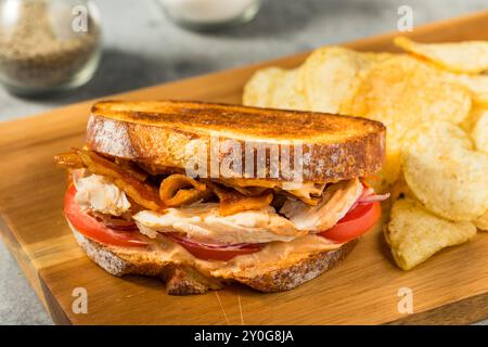 Scharfes hausgemachtes Chipotle Chicken Sandwich Panini mit Speck und Tomaten Stockfoto