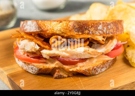 Scharfes hausgemachtes Chipotle Chicken Sandwich Panini mit Speck und Tomaten Stockfoto