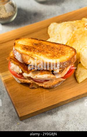 Scharfes hausgemachtes Chipotle Chicken Sandwich Panini mit Speck und Tomaten Stockfoto