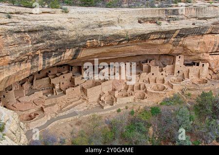 Steinmauerwerk Cliff Palace in der Felsennische der mesa Klippe von mesa Top im mesa Verde Nationalpark Stockfoto