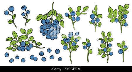 Blaubeeren Zeichentricksymbole Vektor-Set. Lebensmittelillustration von farbigen Früchten für Design-Farm-Produkt, Marktetikett vegetarisches Geschäft. Stock Vektor