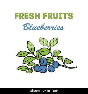 Handgezeichnete Blaubeerfrucht-Zweig-Vorlage farbig. Altes Tintenvektor-Obstschild für Broschüren, Cover, Banner, Restaurant- und Marktmenüs Stock Vektor