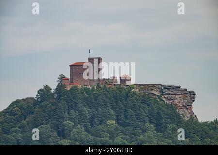 Burg Trifels historische Felsenburg im Pfälzerwald , Deutschland, Rheinland-Pfalz, Annweiler am Trifels, Burg Trifels, 02.09.2024, die mittelalterliche Burg Trifels Thrront majestätisch auf einem Felsen bei Annweiler, umgeben von dichten Wäldern, und diente einst als Gefängnis für Richard Löwenherz. Die gut erhaltene Burg bietet einen beeindruckenden Ausblick auf den Pfälzerwald. *** Schloss Trifels Historisches Felsenschloss im Pfälzerwald, Deutschland, Rheinland-Pfalz, Annweiler am Trifels, Schloss Trifels, am 02 09 2024 thront majestätisch auf einem Felsen bei Annweiler das mittelalterliche Schloss Trifels Stockfoto