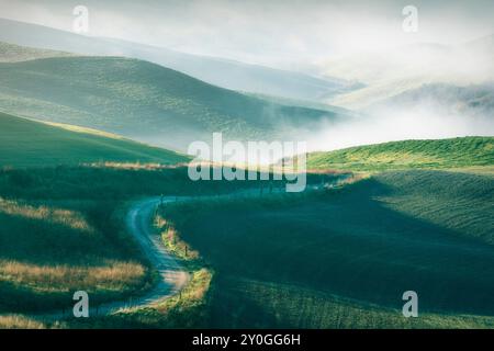 Nebelige Landschaft in Volterra bei Sonnenaufgang. Sanfte Hügel und eine Schotterstraße. Toskana, Italien, Europa Stockfoto